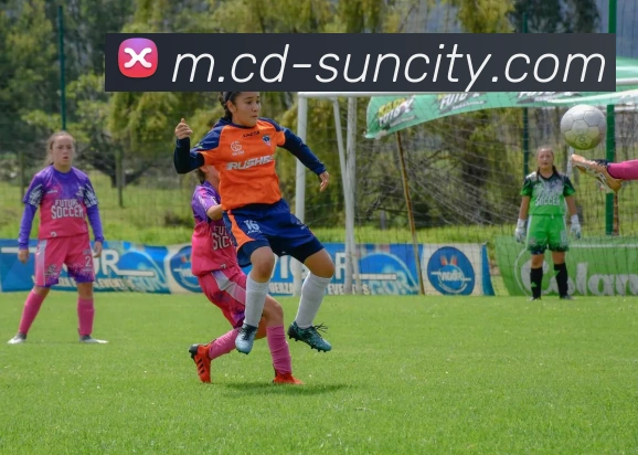 太阳城网站品牌故事